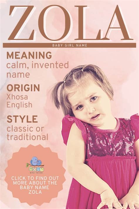 zola meaning in english.